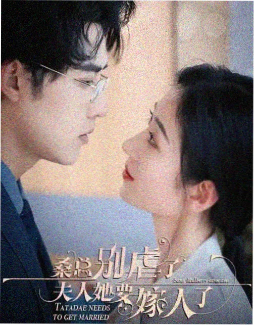 影视同期声设备 指向性枪式话筒与防风毛罩